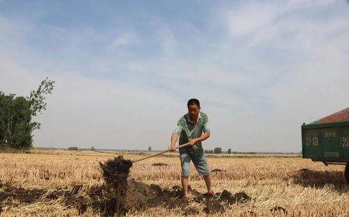 滑县王庄镇 抢抓农事话夏种