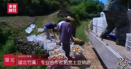 微新闻|县委书记余世明为扶贫农产品土豆代言--“厉害了我的国中国电商扶贫行动”走进竹溪