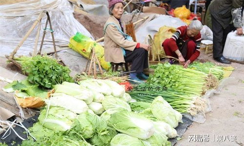 囤货过年,赶上圩日,这买10斤,那买30斤,囤货好过年啊 芋头 萝卜 青菜 酸菜 白菜 新鲜 适量清水 网易订阅