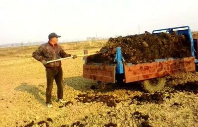 土地觉醒呼唤“农家肥”,这九大危害要小心!